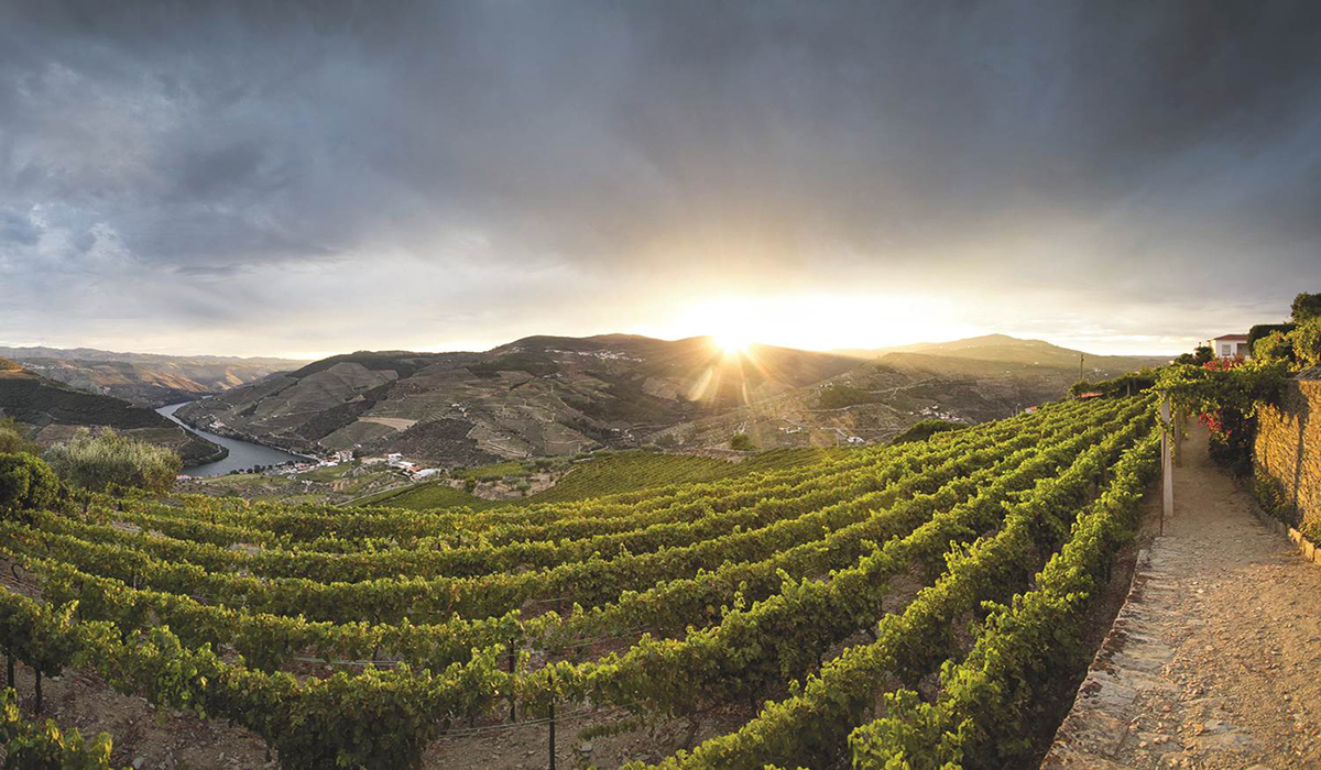 Scenic-Cruises Douro