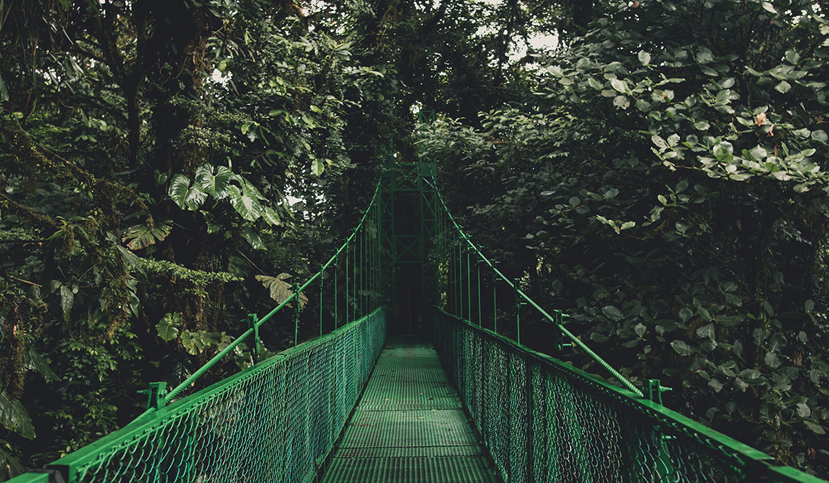 Costa Rica Green Bridge Costa Rica Green Bridge